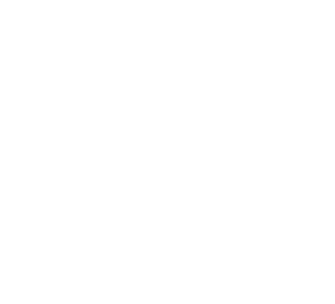 VIVIAN final logo-2